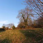 Spacious With Garden Koblenz