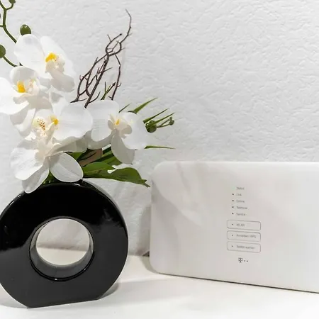 Spacious With Garden Lejlighed Koblenz (Rhineland-Palatinate)