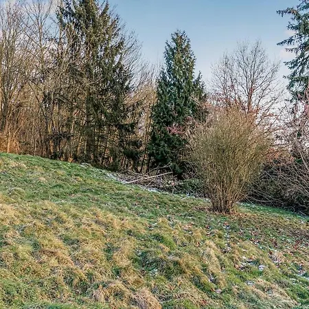 Spacious With Garden Koblenz